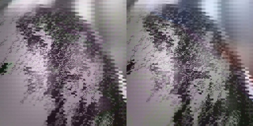 Spatial Search with Examine and Lucene